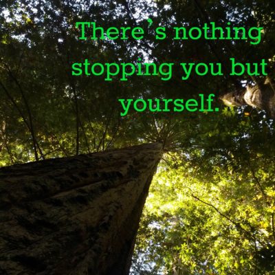 There's nothing stopping you but yourself.
