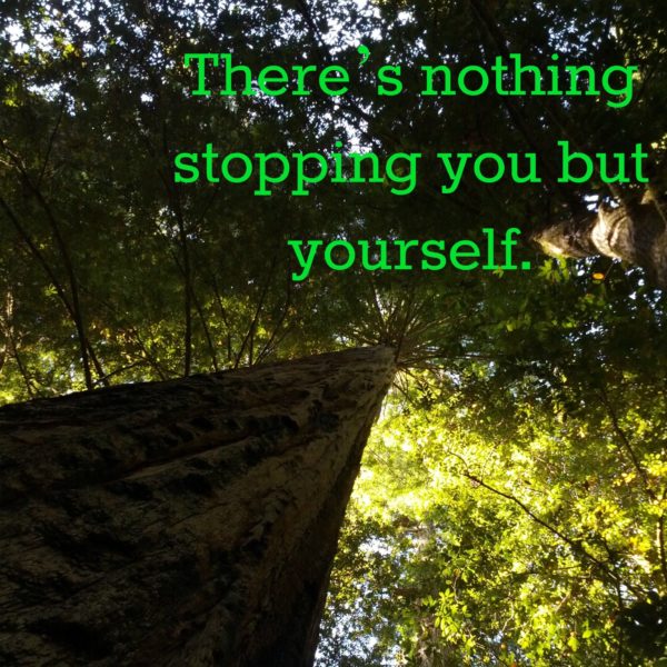 There's nothing stopping you but yourself.