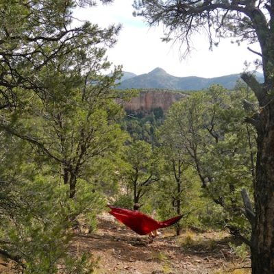 Coaching calls from a hammock? Sure, why not?