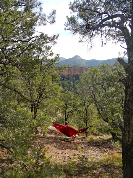 Coaching calls from a hammock? Sure, why not?
